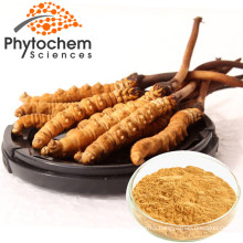 Factory Wholesale Price 10%~40% Polysaccharides Cordyceps Sinensis Extract